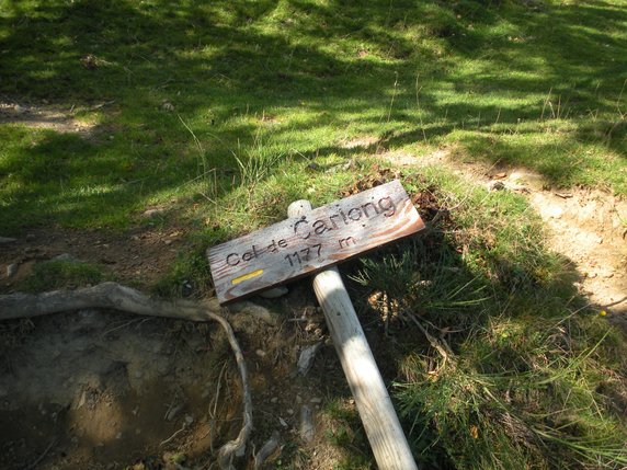 A Faulty Signpost