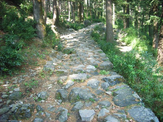 Mule Track
