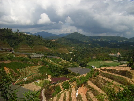 Cameron Highlands Cameron Highlands