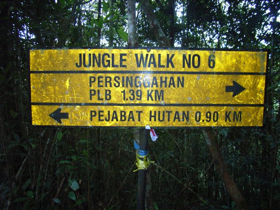 Jungle Signpost Jungle Signpost